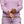 Load image into Gallery viewer, Cotopaxi S22478W236 Women's Sombra Sun Hoodie