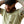 Load image into Gallery viewer, Ariat 10043832 Men's Rebar Cotton Strong American Bass SS T-Shirt