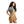Load image into Gallery viewer, Kuhl 6448 Women's Kultivatr Shortall