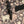 Load image into Gallery viewer, KAVU 917 Keeper