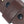 Load image into Gallery viewer, Carhartt Belts, Suspenders and Wallets A0005509 Bridle Leather Classic Buckle Belt