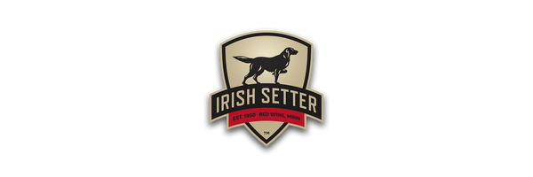 Irish Setter