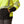 Load image into Gallery viewer, Ariat 10052589 Men&#39;s FR Hi-Vis Hoodie - Hi Vis Yellow
