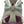 Load image into Gallery viewer, KEEN 1032049 Women's Targhee Apex Mid WP - Lily Pad
