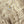 Load image into Gallery viewer, Carhartt 107829 Men's Seneca Loose LS Printed Shirt
