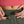 Load image into Gallery viewer, KUHL 6482 Women's Haven Short 7 Inch
