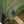 Load image into Gallery viewer, Kavu 9245 Timaru Backpack
