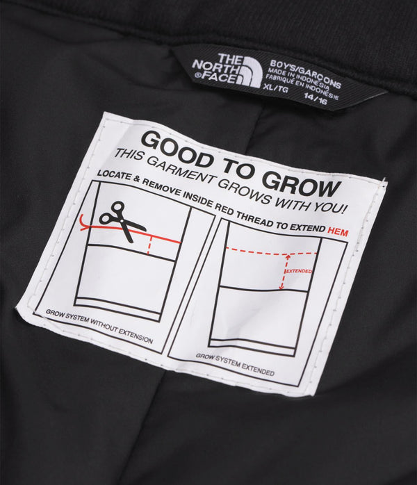 The North Face NF0A88TY Boys' Freedom Insulated Pant