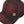 Load image into Gallery viewer, Tentree TAU6262 Forest Cork Icon Elevation Hat
