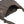Load image into Gallery viewer, Tentree TAU6594 Teslin Bag
