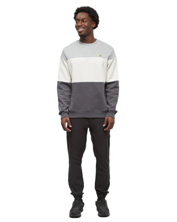 Tentree TCM6303 Men's Blocked Reynard Crew