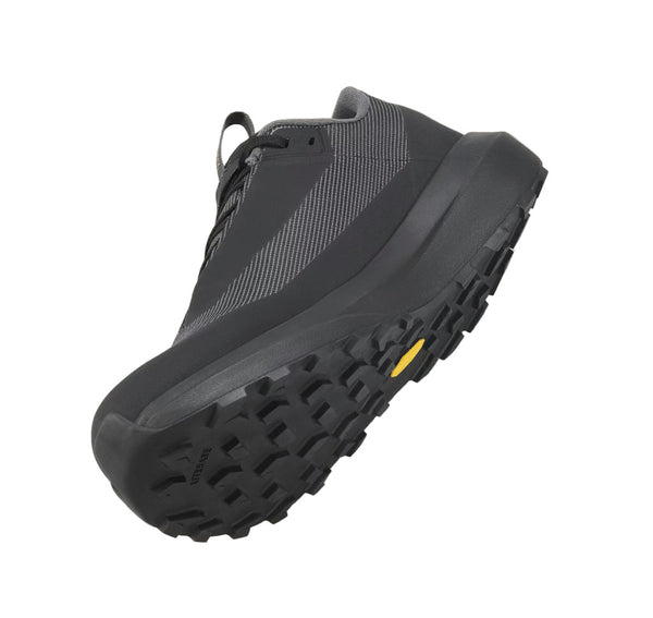 Arcteryx X000010397 Men's Norvan LD 4 GTX