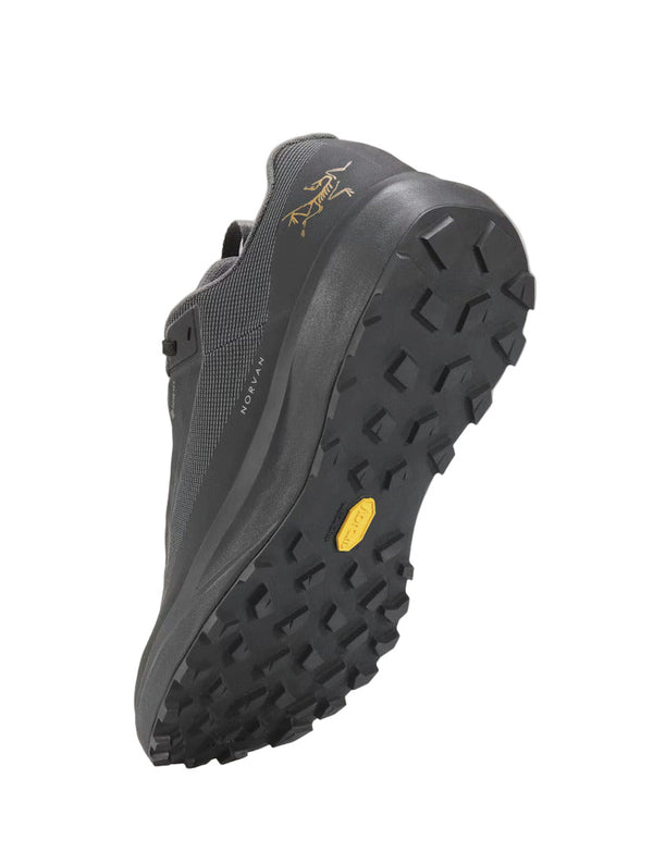 Arcteryx X000010399 Women's Norvan LD 4 GTX