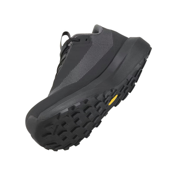 Arcteryx X000010399 Women's Norvan LD 4 GTX