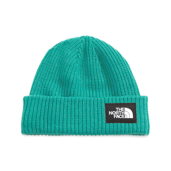 The North Face NF0A3FJW Salty Dog Lined Beanie Past Season