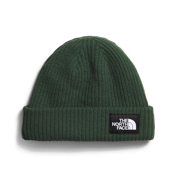 The North Face NF0A3FJW Salty Dog Lined Beanie