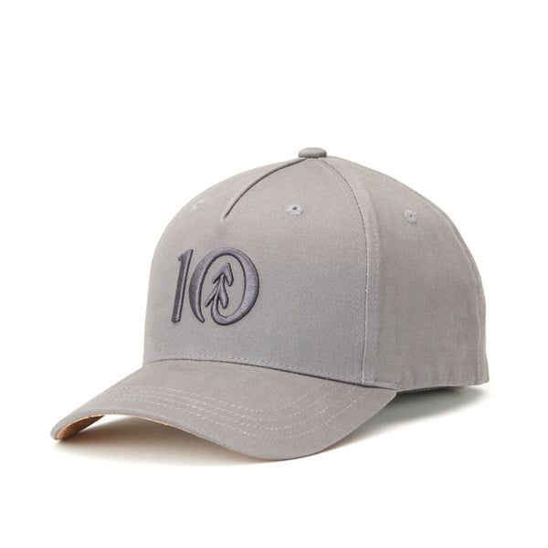 Tentree TAU2589 Men's Logo Cork Brim Altitude Hat